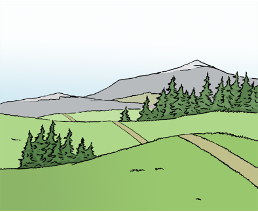 Projekt: Wandern inklusive Dieses Icon zeigt eine hügelige grüne Landschaft mit Gruppen von Nadelbäumen. Es führt eine Wanderweg durch die Landschaft hindurch. 